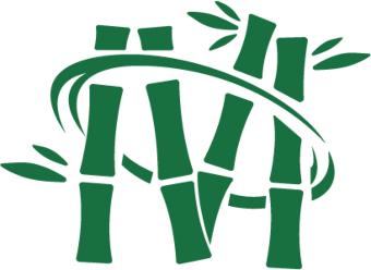 Logo Privatpraxis für Physiotherapie Alyona Matern